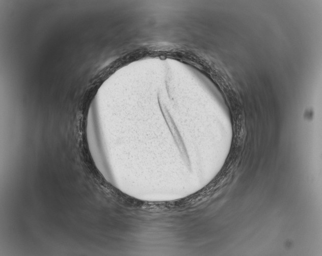 X0000116811301201001151135