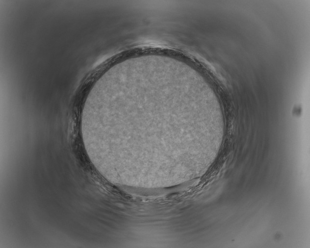 X0000116811303201001151135