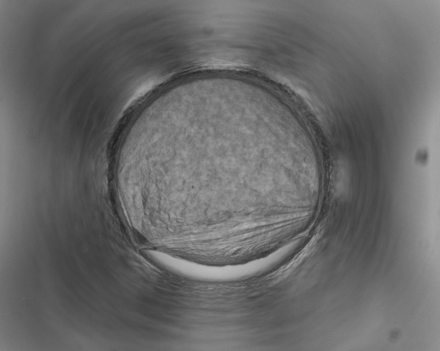 X0000116811306201001151135