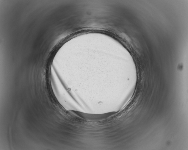 X0000116811307201001151135