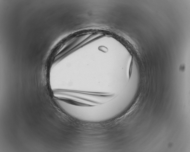 X0000116811310201001151135