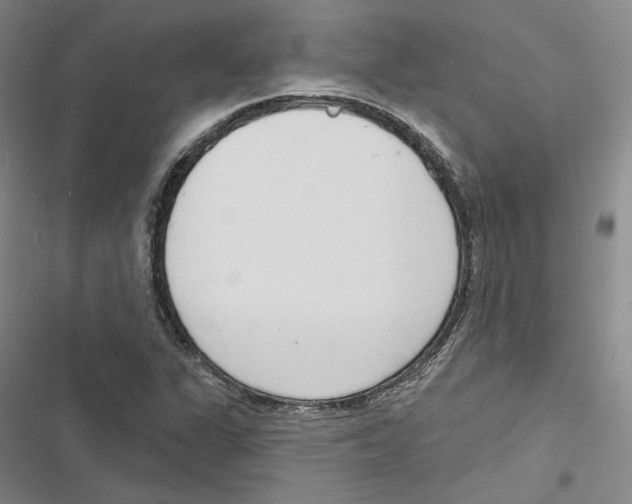 X0000116811311201001151135