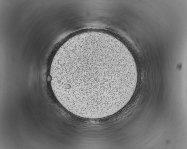 X0000116811315201001151135