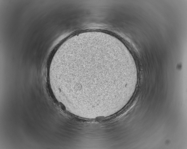 X0000116811317201001151135