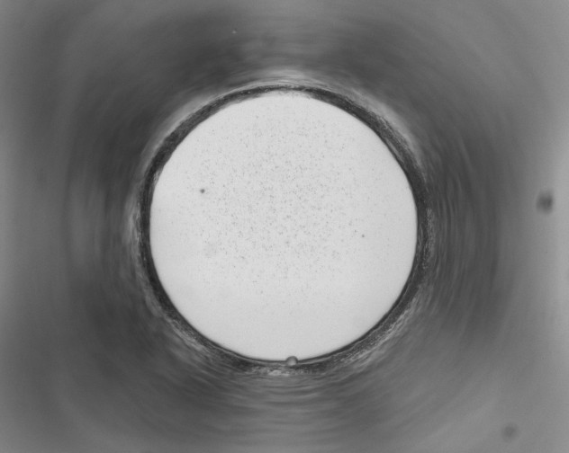 X0000116811318201001151135