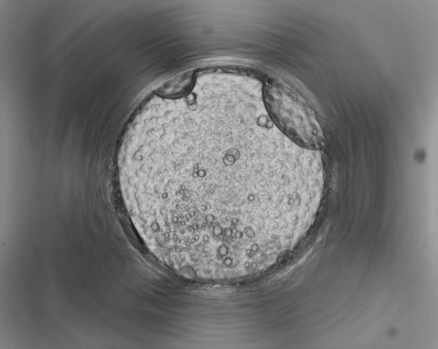 X0000116811321201001151135