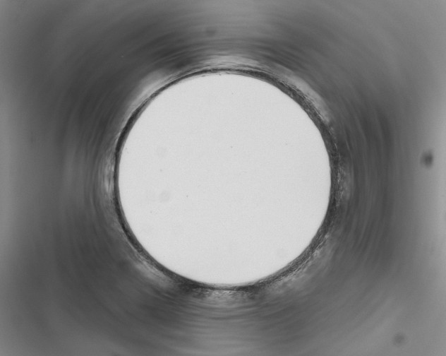 X0000116811322201001151135