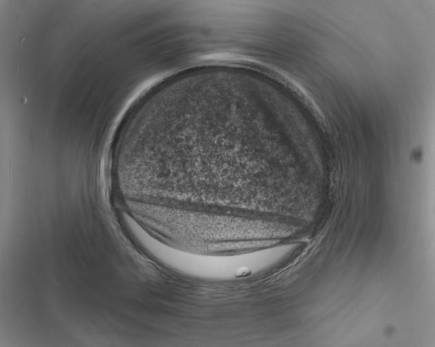 X0000116811323201001151135