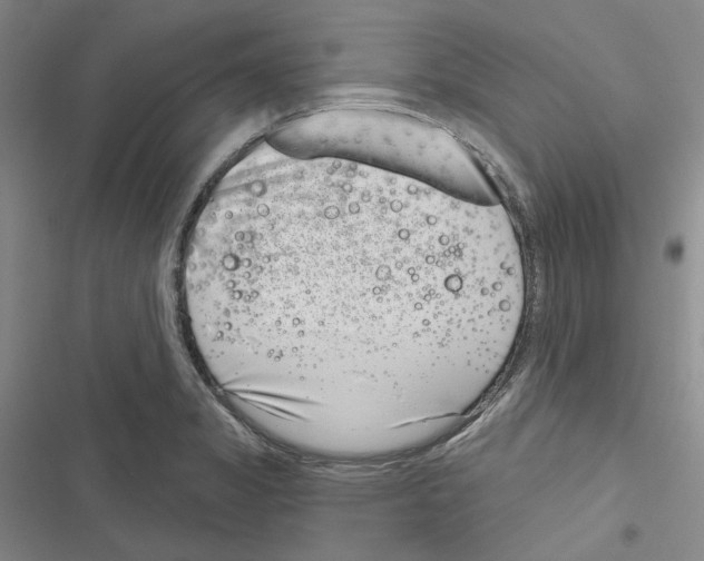X0000116811325201001151135