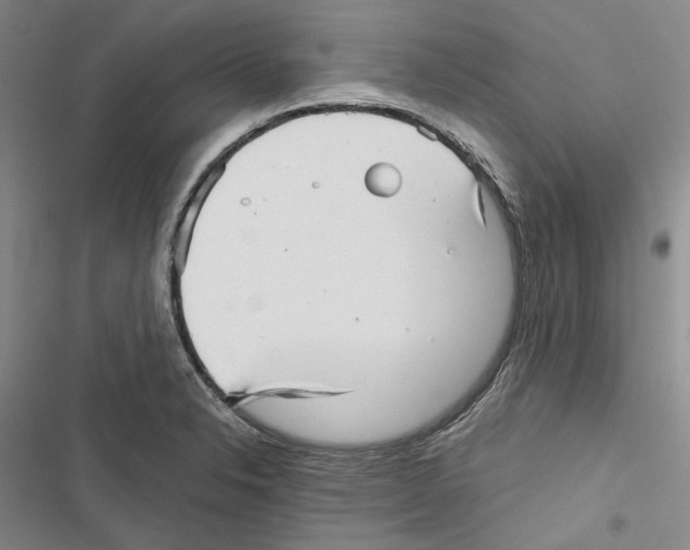 X0000116811326201001151135