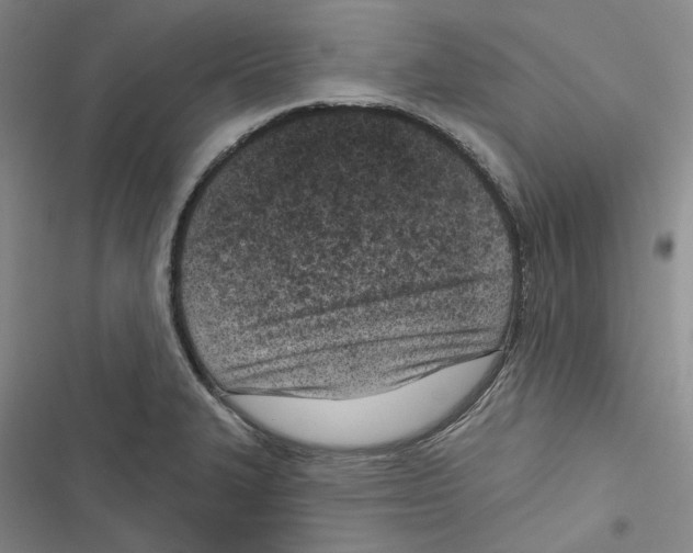 X0000116811327201001151135