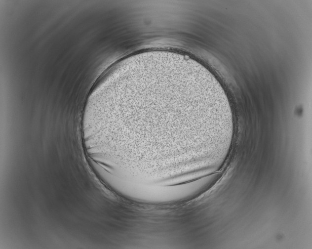 X0000116811329201001151135