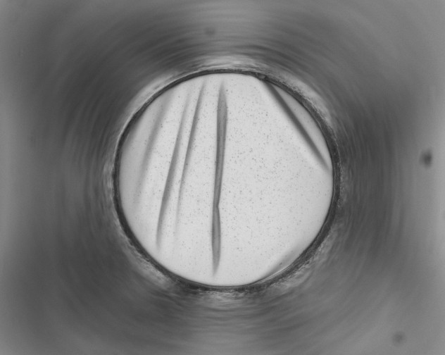 X0000116811330201001151136