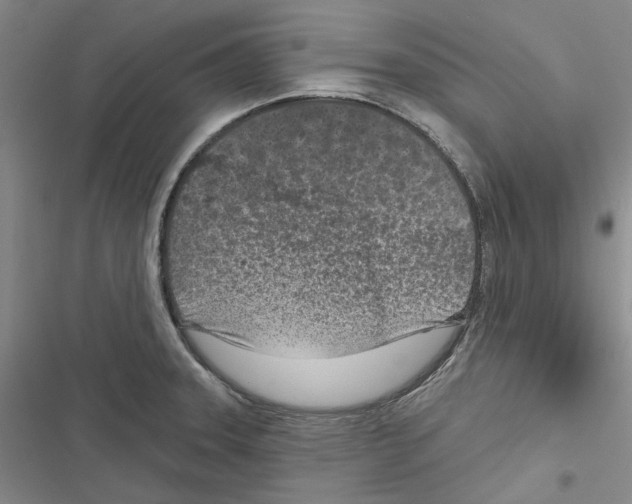 X0000116811331201001151136