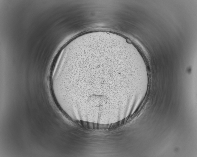 X0000116811333201001151136