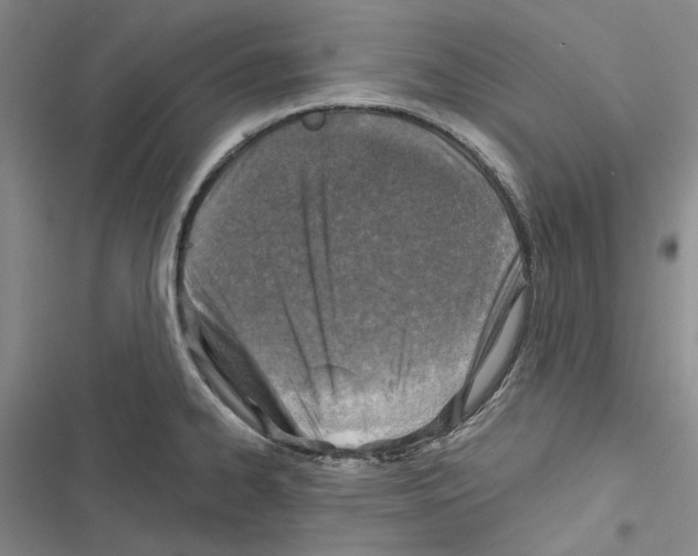 X0000116811334201001151136