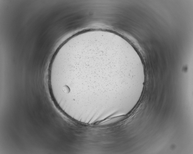 X0000116811335201001151136