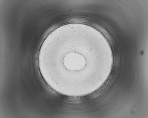 X0000116811338201001151136