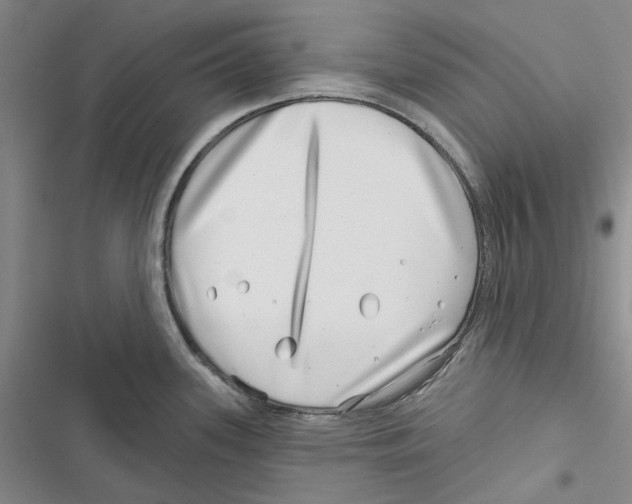 X0000116811339201001151136