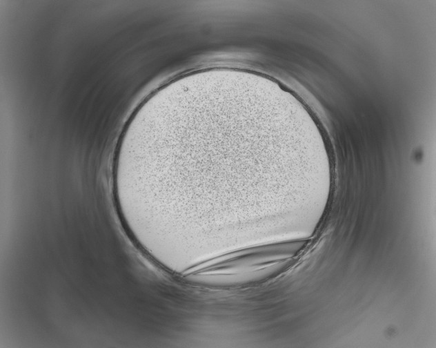 X0000116811341201001151136