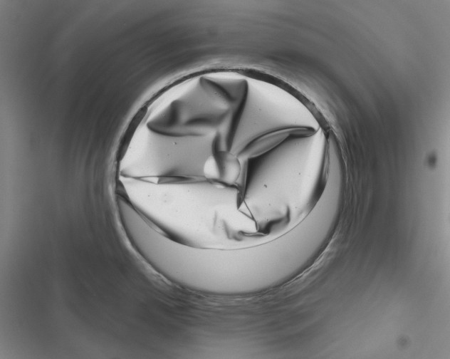 X0000116811342201001151136