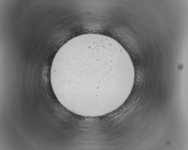 X0000116811346201001151135