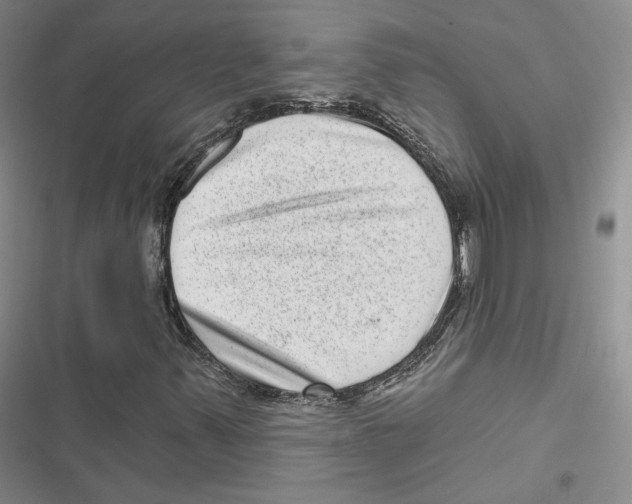 X0000116811347201001151135