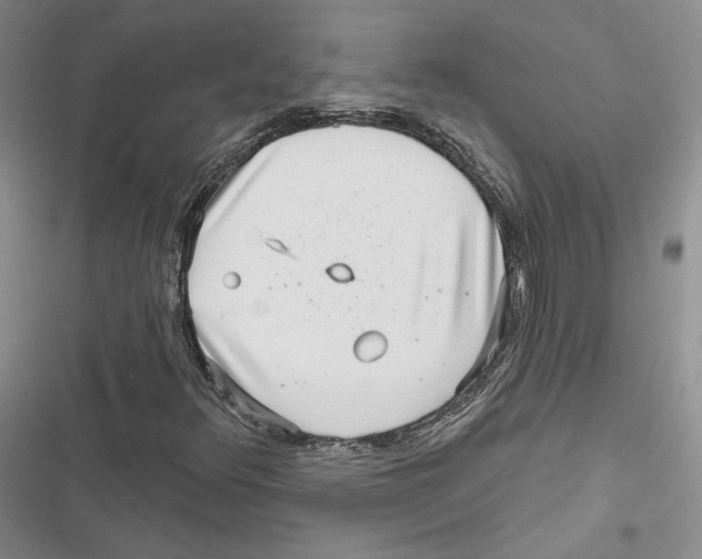 X0000116811348201001151135