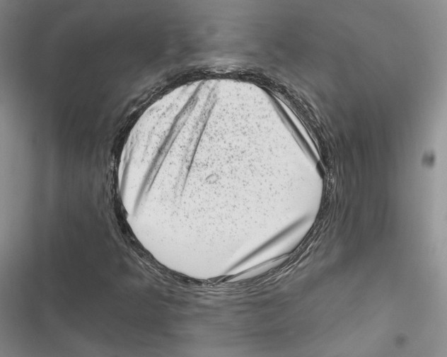 X0000116811349201001151135