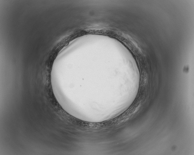 X0000116811350201001151135