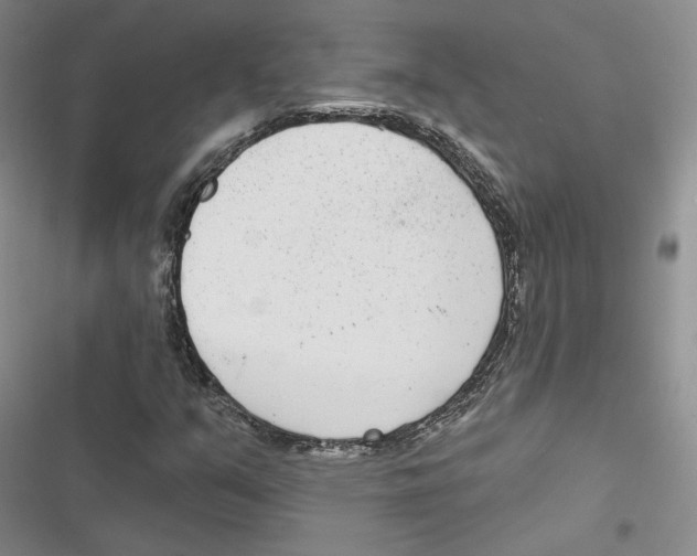 X0000116811351201001151135