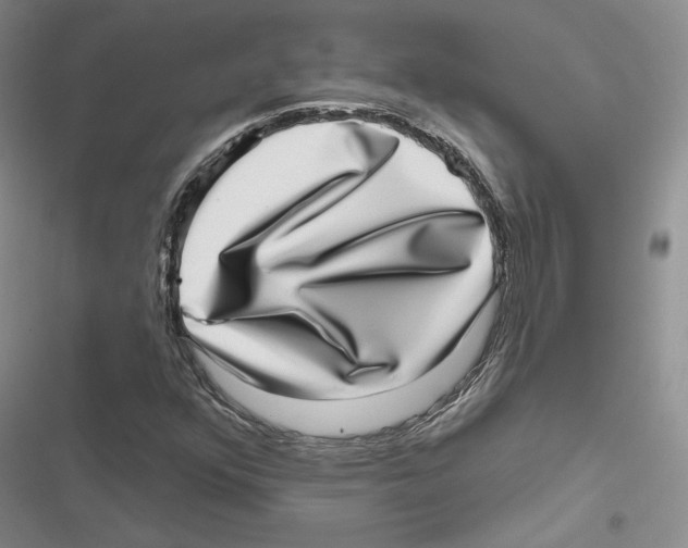 X0000116811352201001151135