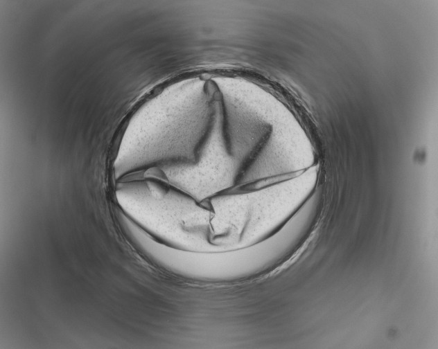 X0000116811353201001151135