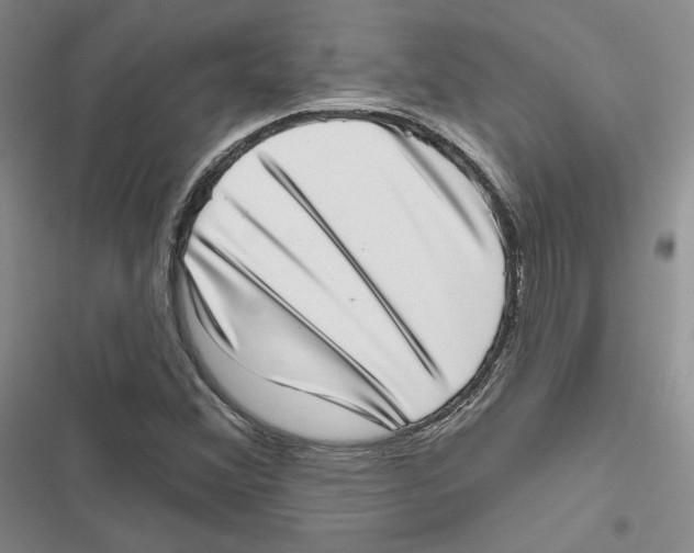 X0000116811356201001151135