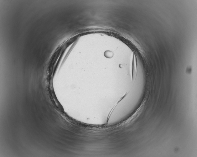 X0000116811357201001151135