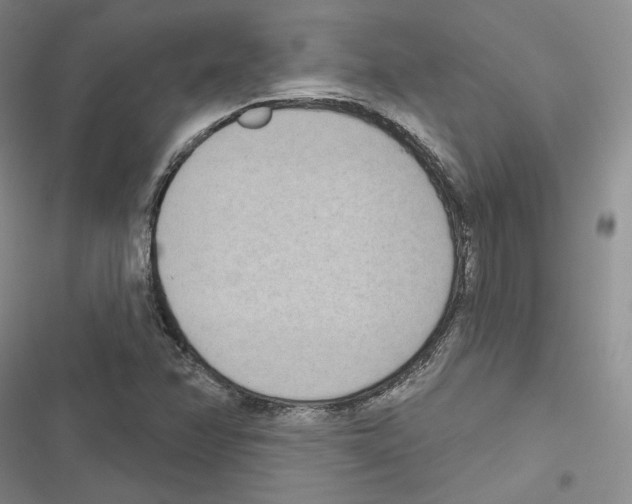 X0000116811358201001151135