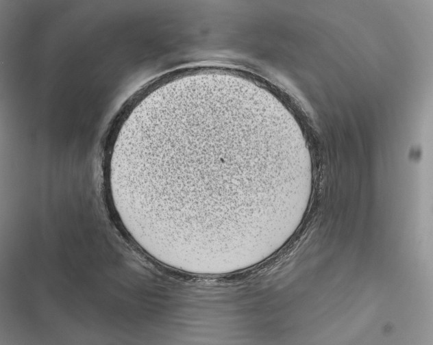 X0000116811360201001151135