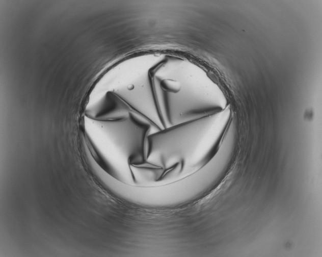X0000116811361201001151135