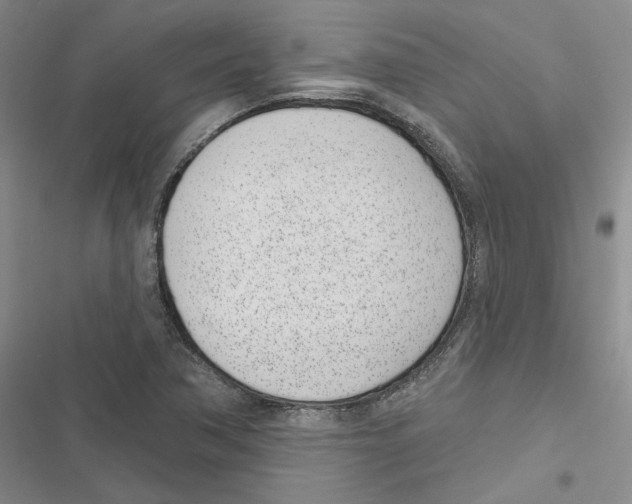 X0000116811362201001151135