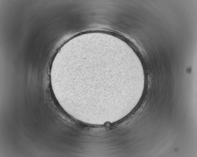 X0000116811363201001151135