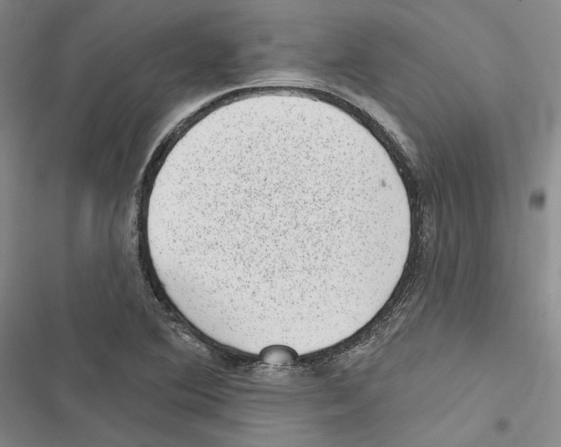 X0000116811364201001151135