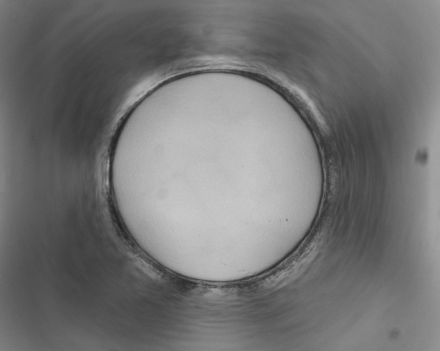 X0000116811365201001151135