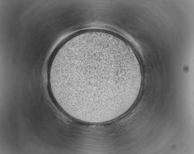 X0000116811368201001151135