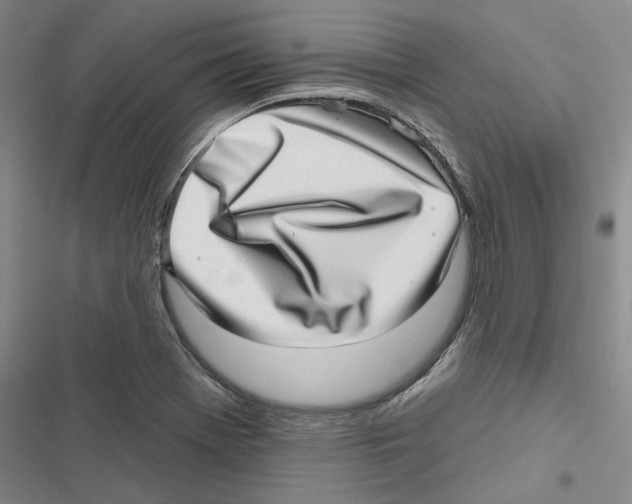X0000116811369201001151135
