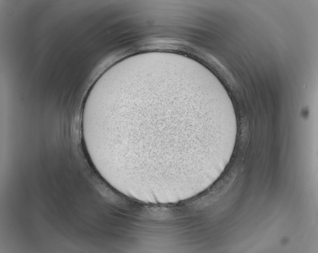 X0000116811370201001151135