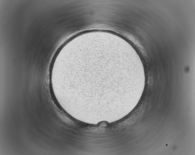 X0000116811372201001151135
