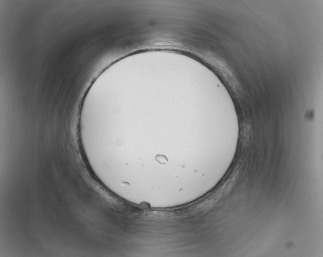 X0000116811374201001151135