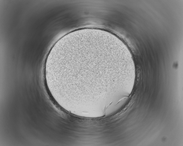 X0000116811375201001151135
