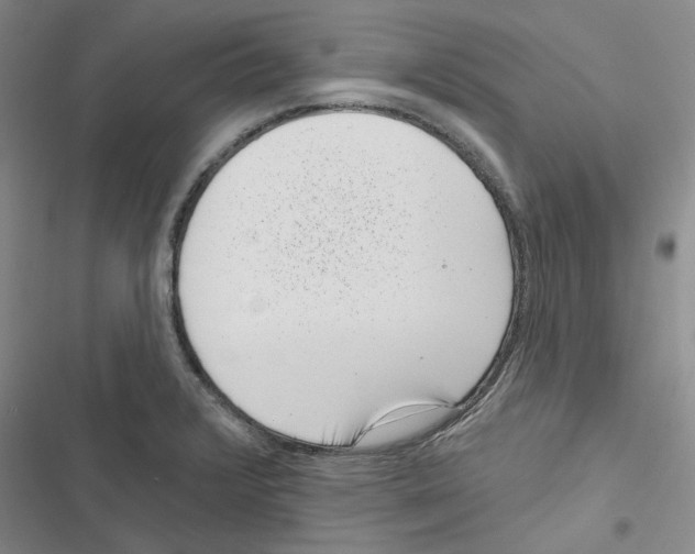 X0000116811376201001151135