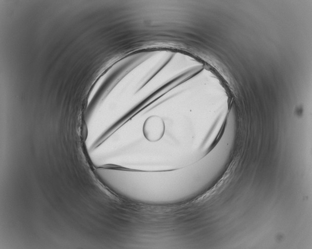 X0000116811377201001151135